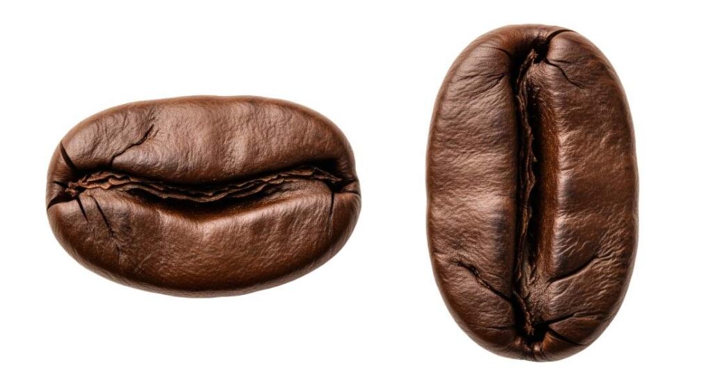 فرق قهوه روبوستا و عربیکا